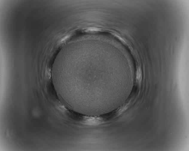 X0000087560621200704271227