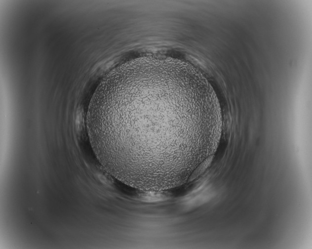 X0000087560623200704271227