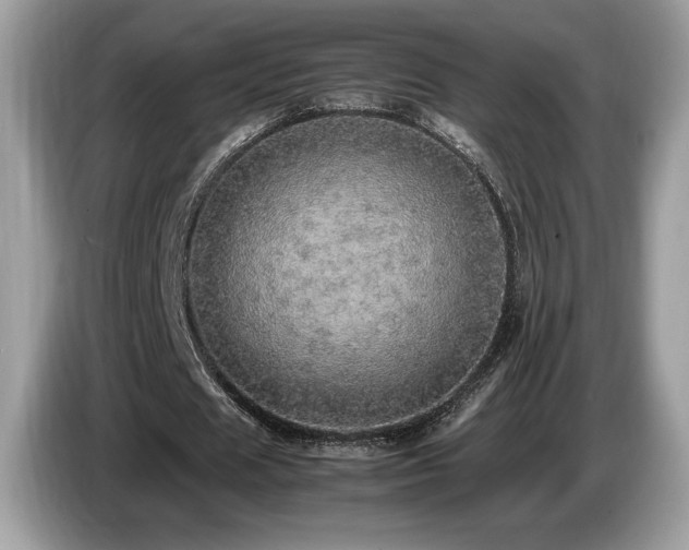 X0000087560625200704271226