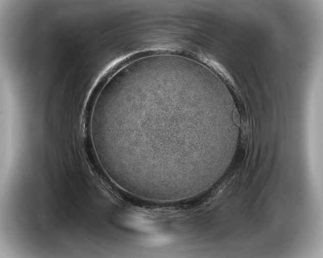 X0000087560628200704271226