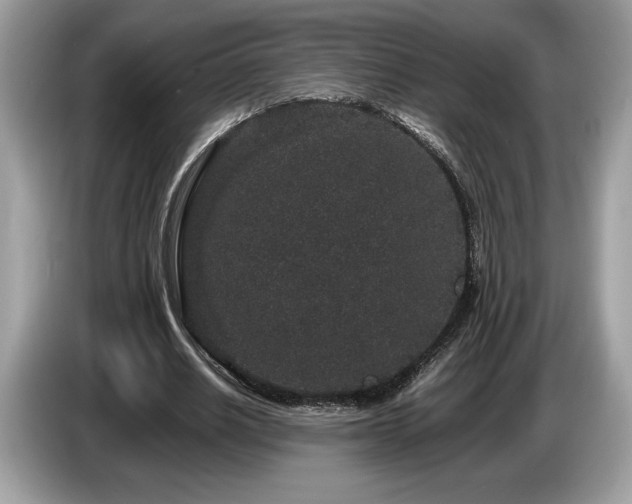X0000087560630200704271227