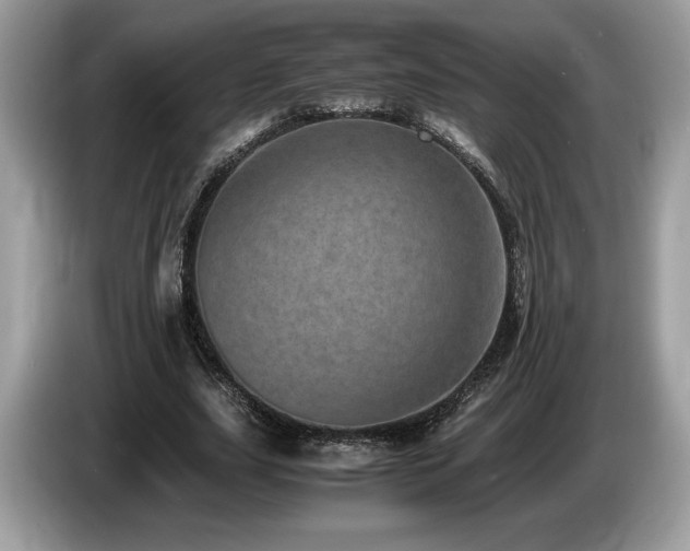 X0000087560631200704271227