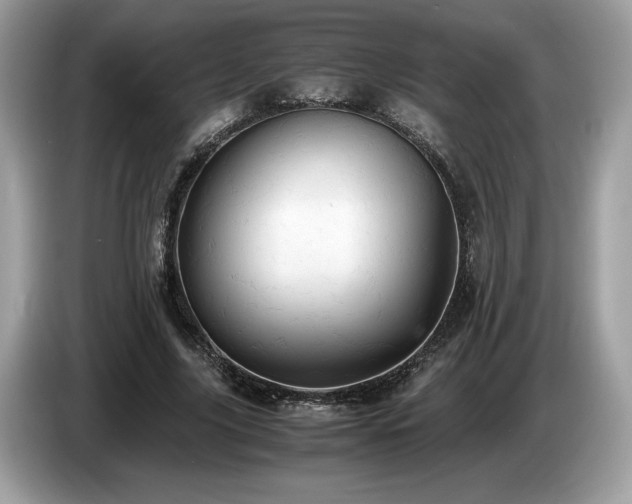 X0000087560635200704271227