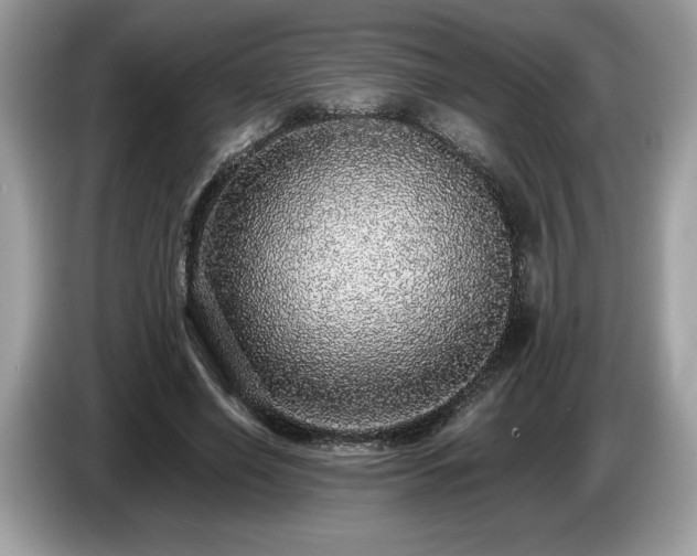 X0000087560638200704271227