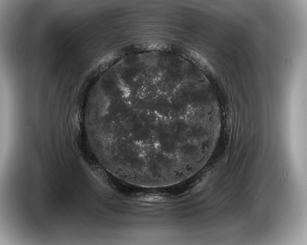 X0000087560643200704271227