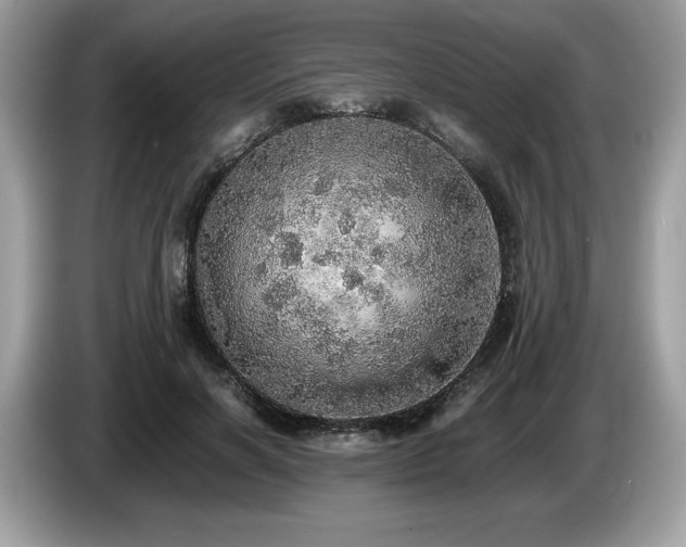 X0000087560646200704271227