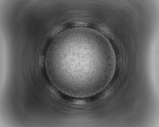 X0000087560649200704271227