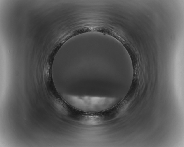 X0000087560650200704271227