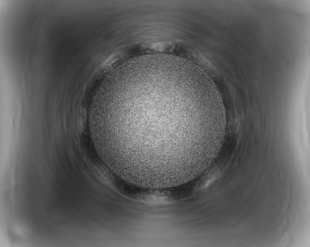 X0000087560656200704271227