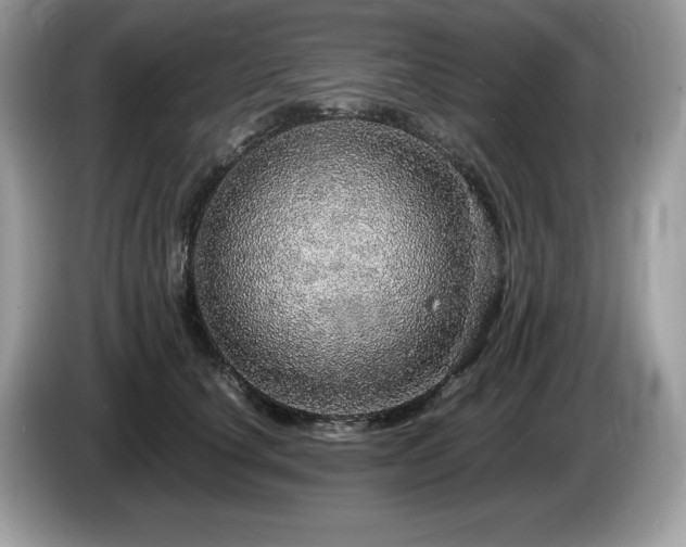 X0000087560660200704271227