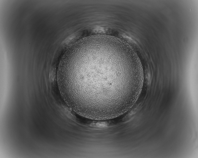 X0000087560665200704271227