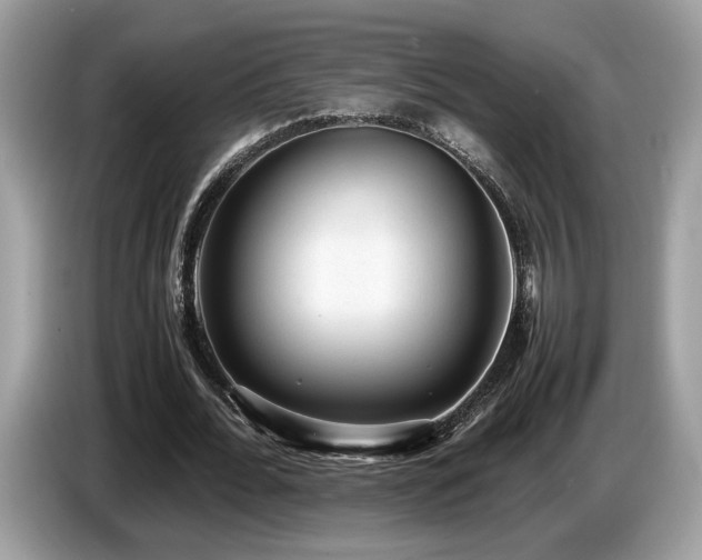 X0000087560676200704271226