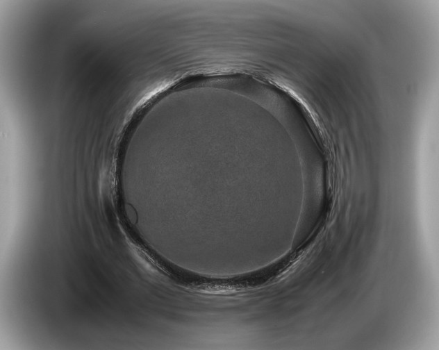 X0000087560677200704271226