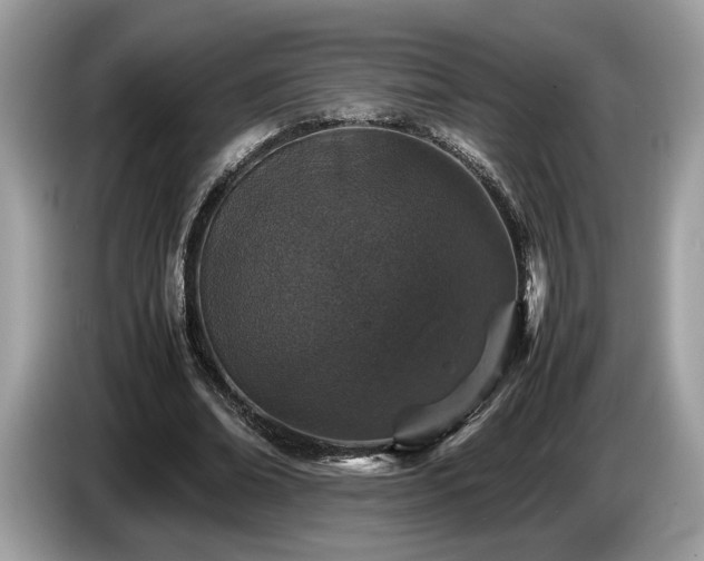X0000087560678200704271226