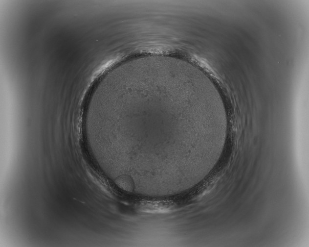 X0000087560679200704271226
