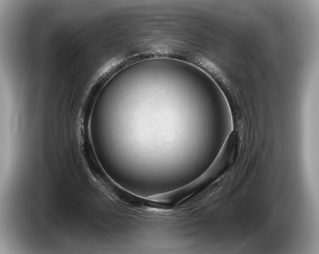 X0000087560680200704271226