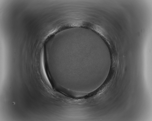 X0000087560681200704271226