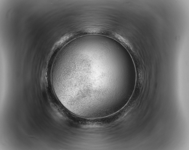 X0000087560682200704271226