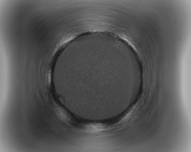 X0000087560685200704271226