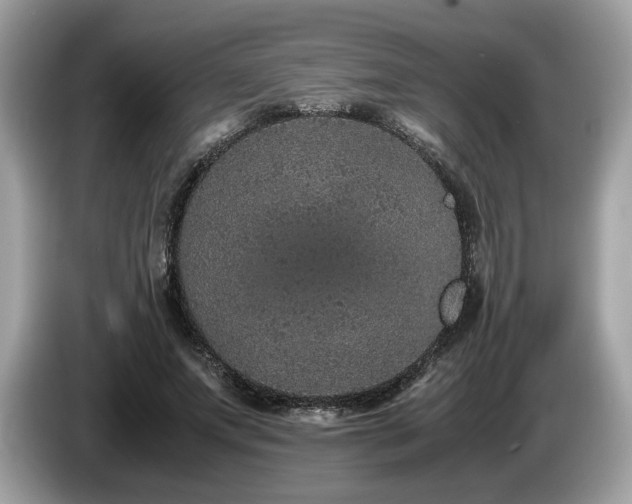 X0000087560687200704271226