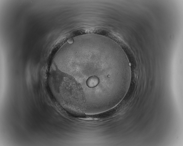 X0000087560691200704271226
