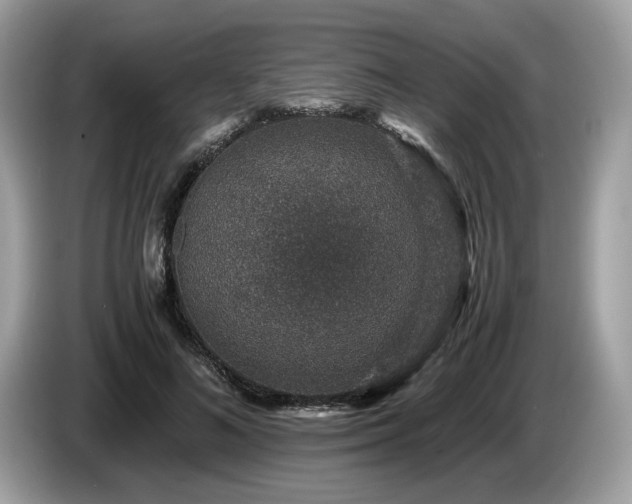 X0000087560692200704271226