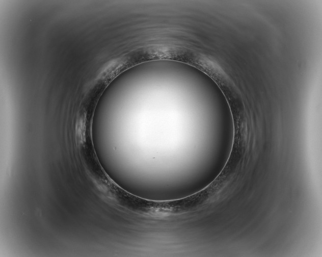 X0000087560694200704271226