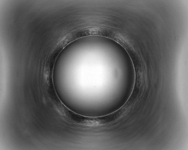 X0000087560698200704271226