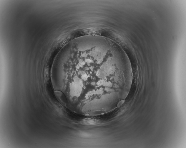 X0000087560699200704271226