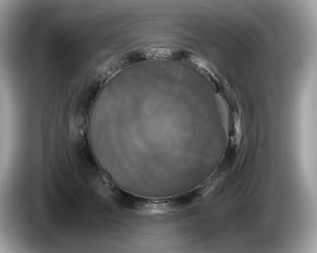 X0000087560701200704271226