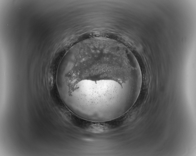 X0000087560703200704271226