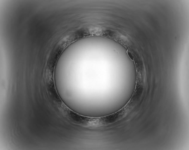 X0000087560705200704271226