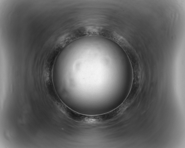 X0000087560706200704271226