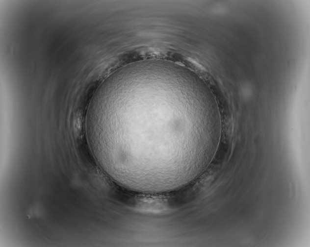 X0000087560709200704271226