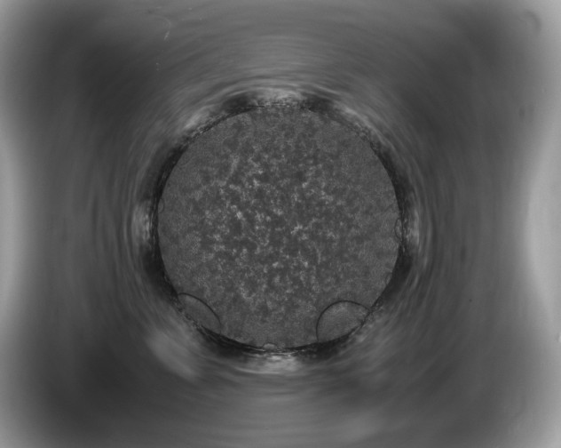 X0000087560715200704271226