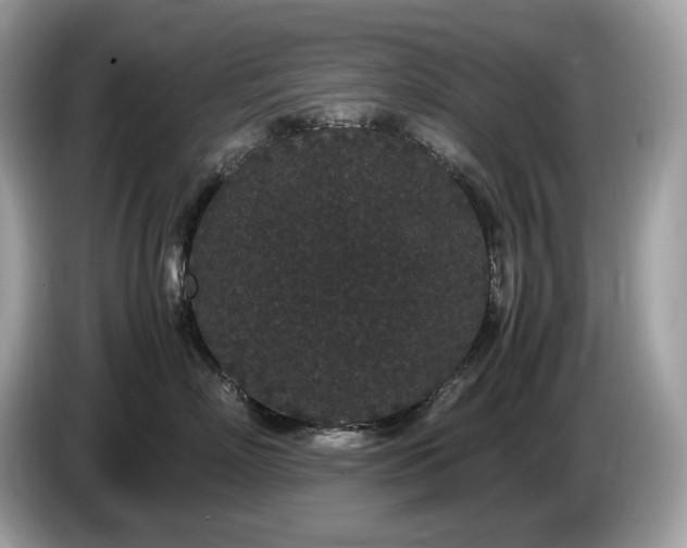 X0000087560718200704271226