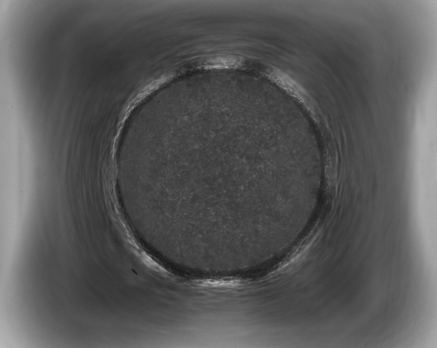 X0000087560721200704271225
