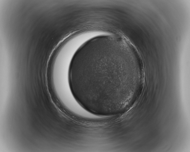 X0000087560722200704271225
