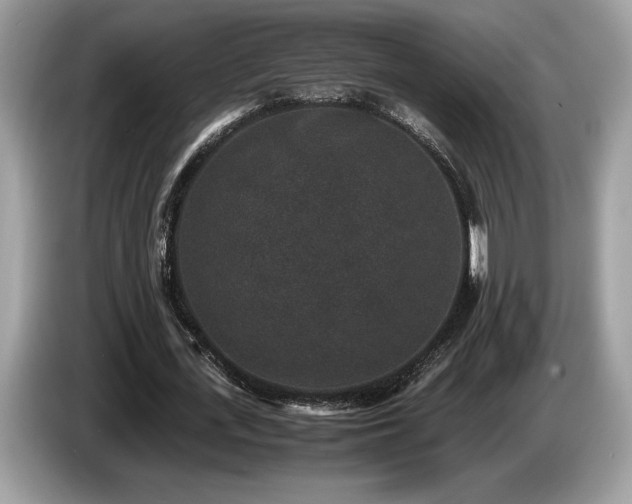 X0000087560723200704271225