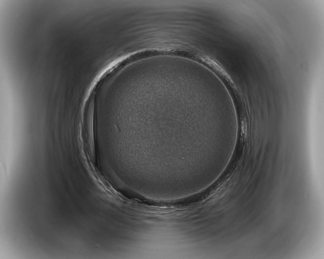 X0000087560724200704271225