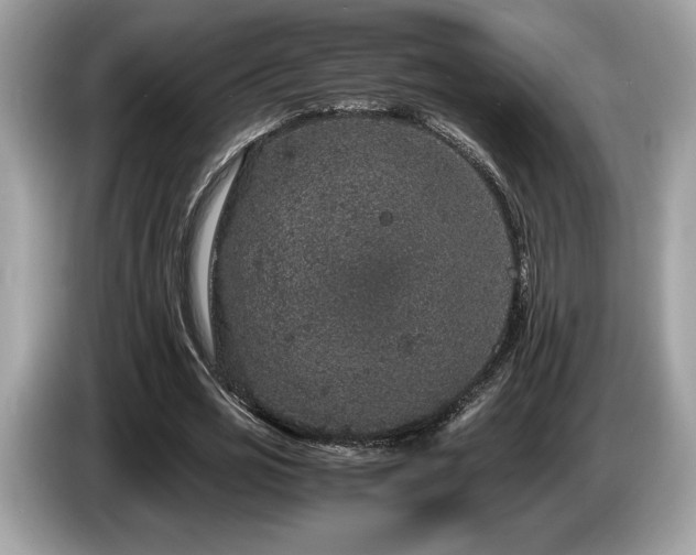 X0000087560725200704271225