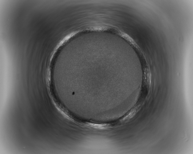 X0000087560726200704271225
