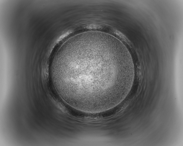 X0000087560727200704271225