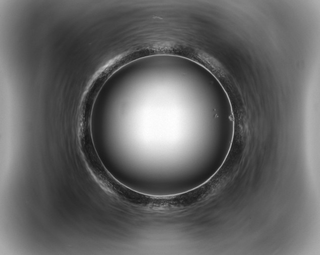 X0000087560728200704271225