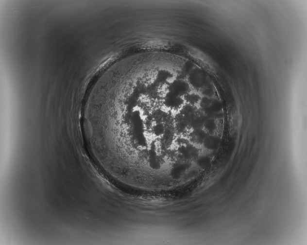 X0000087560729200704271225