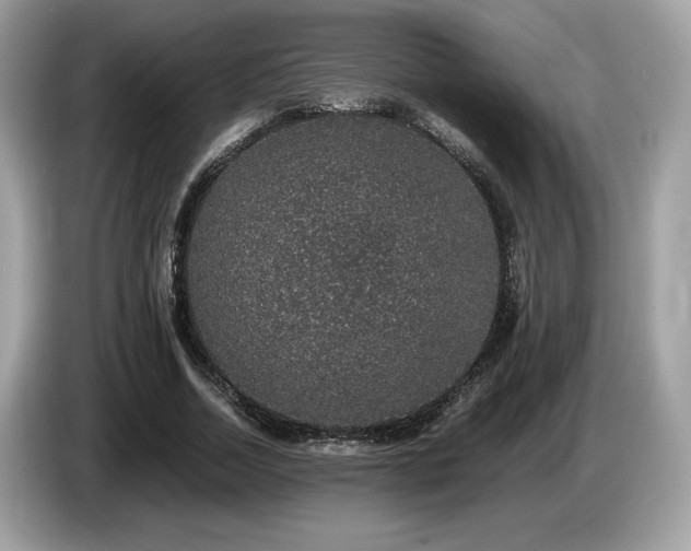 X0000087560730200704271225