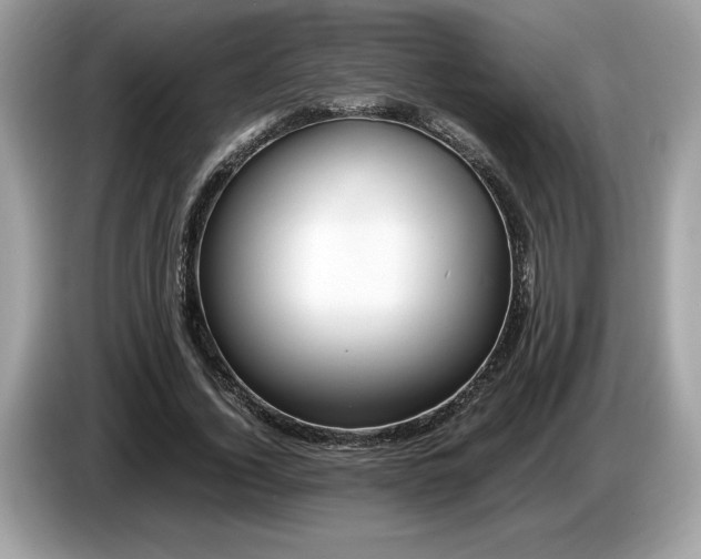X0000087560732200704271225