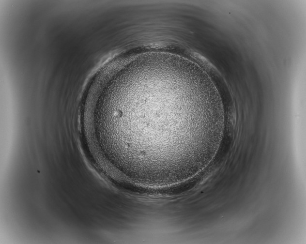 X0000087560734200704271225