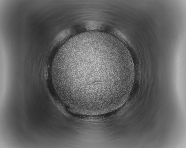X0000087560738200704271226
