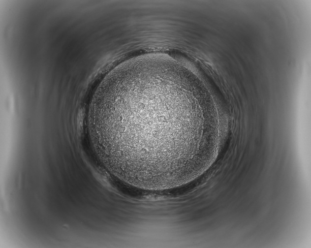 X0000087560742200704271226